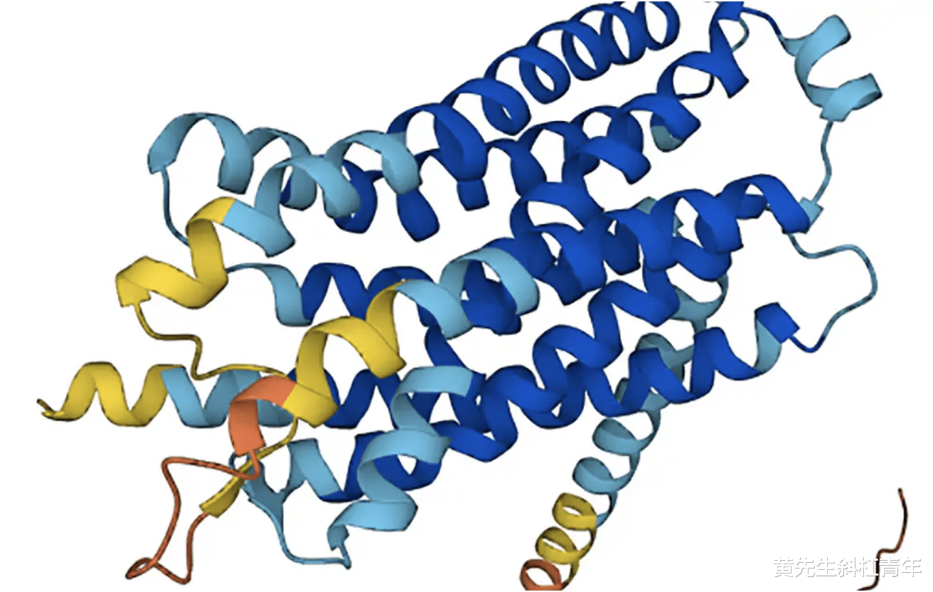 英特尔|谷歌的蛋白质折叠AI AlphaFold几乎把它们都破解了