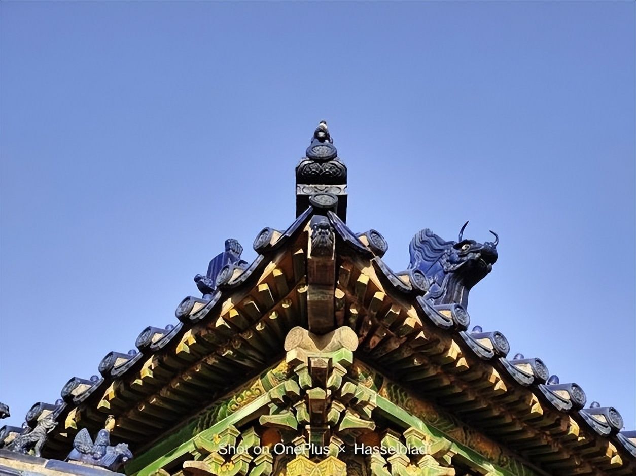 一加科技|有哈苏2.0系统加持之下的一加10pro，真实拍照能力如何？