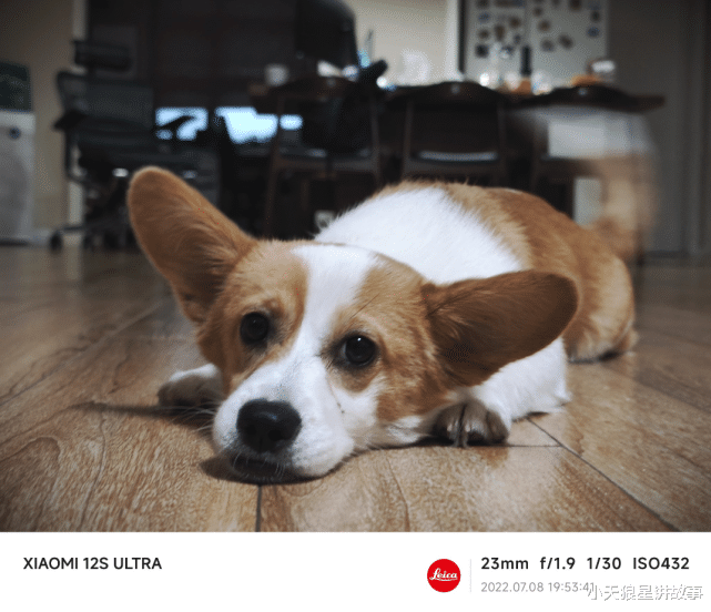 小米科技|放弃了使用一年的华为旗舰,换到小米12SUItra,体验不吐不快