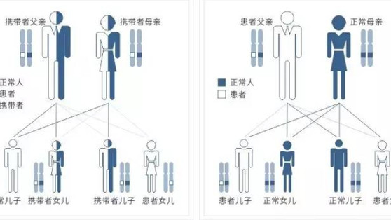伊能静|隔代遗传的威力有多大？儿子长得像“爷爷”，宝妈感觉哪里怪怪的