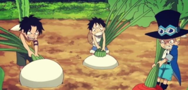 萨博|海贼王:关于萨博你不知道的5件事,其实他才是艾斯和路飞的大哥