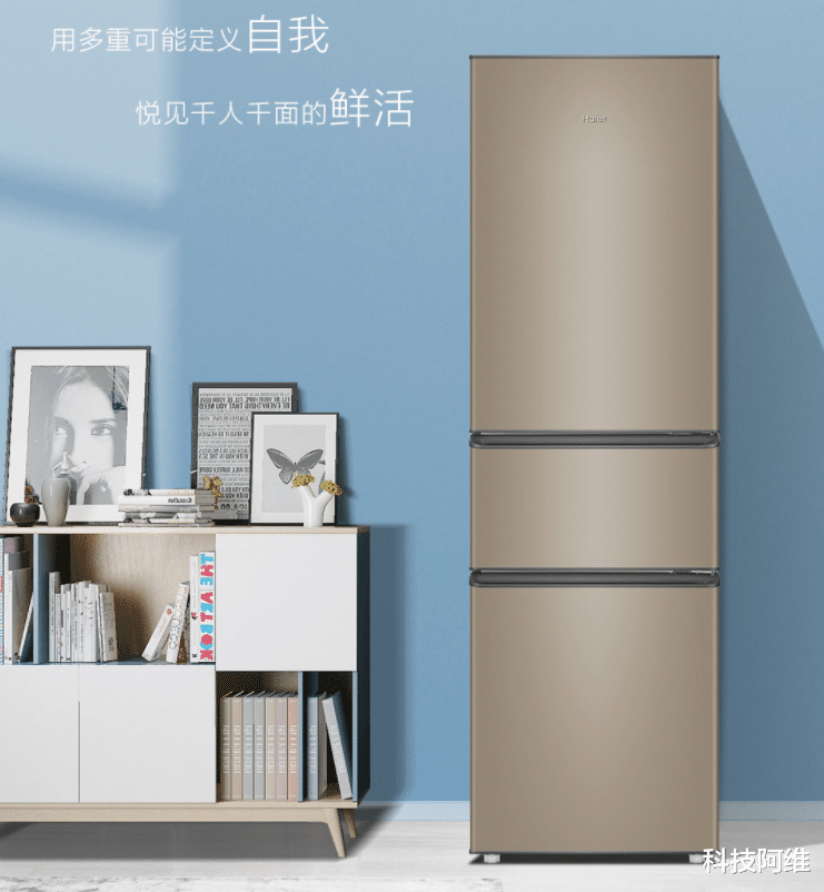 京东|千元冰箱热卖排行榜:创维仅排第四,康佳第三,第一名让人意外