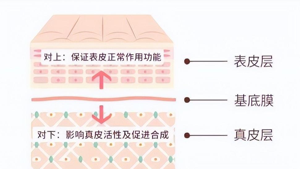 护肤品 难怪你护肤一直没有效果？你以为的肌肤吸收仅仅是你认为