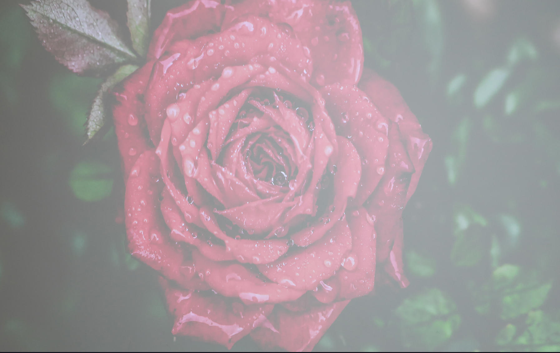 创意设计|「必看干货」投影仪选购指南,附三台国产高端4K投影仪详细对比