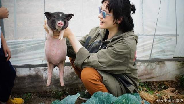 孙俪|上海美女孙俪户外徒手抓蝉！穿旗袍衫打扮朴素，网友：孙\大胆\实锤