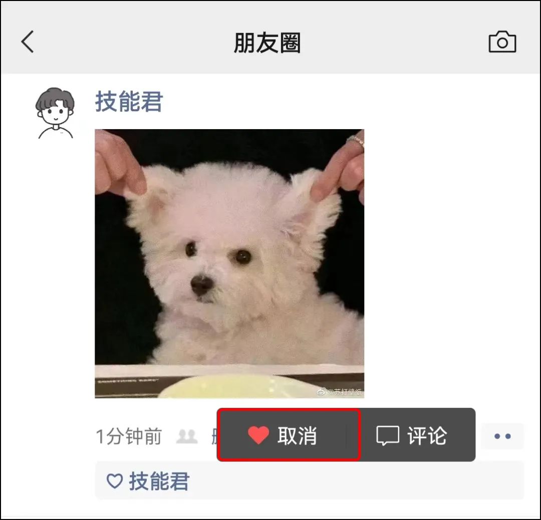 操作系统|微信8.0.27内测版发布,增加3个新变化