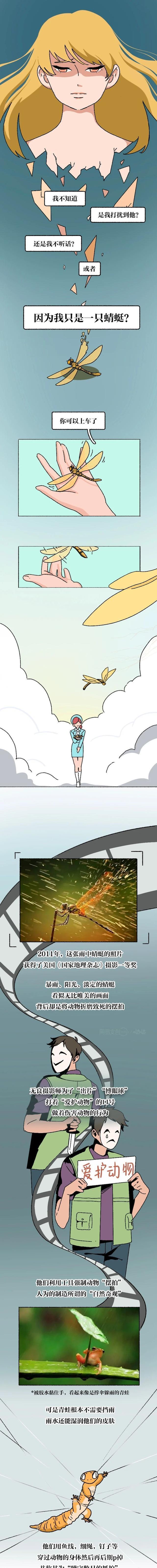 acgn漫评|那些让人惊艳的照片背后,动物们都付出了哪些“代价”?(漫画)