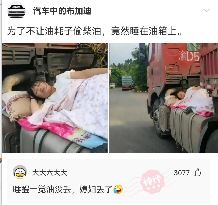 神回复|神回复:路上撞了一个大姐,我应该怎么办啊?神评方案绝了