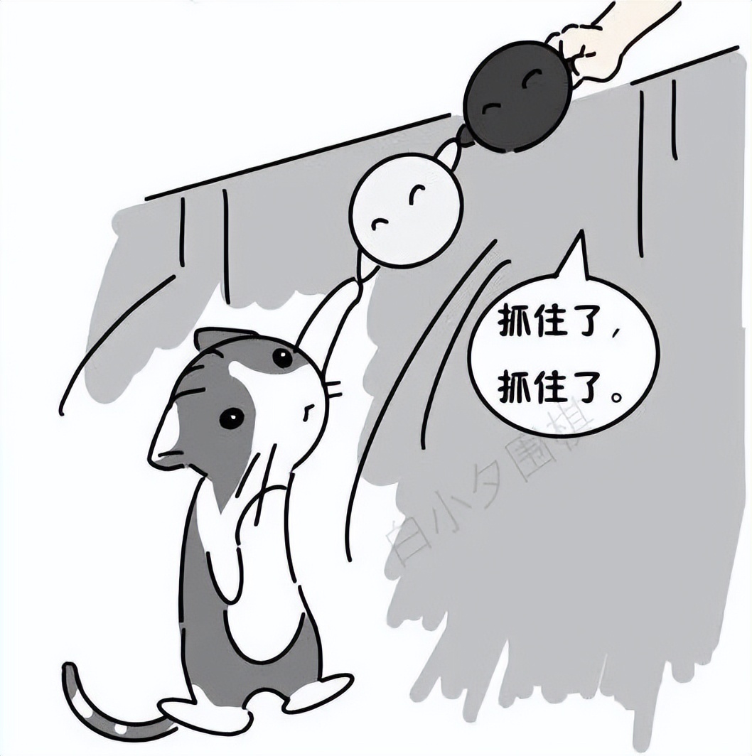 王宇|原創圍棋漫畫：王宇棋遇記（7）