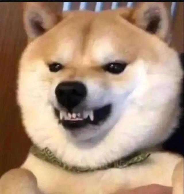 小米科技|从一场小米发布会,我们看到雷军的野心