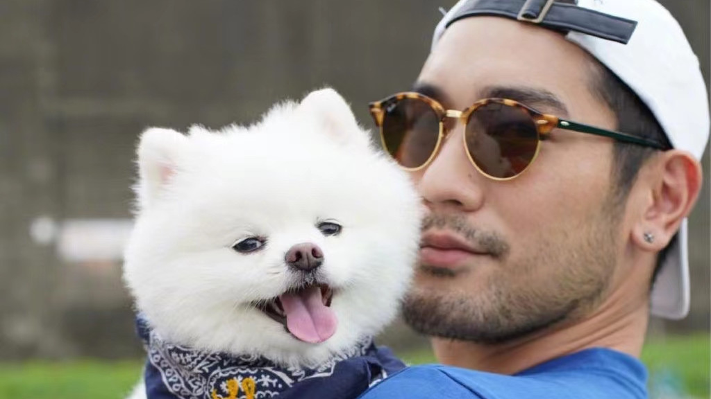 高以翔|高以翔离世两年，高爸高妈身体暴瘦，女友Bella已找新男友