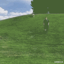 |“这是小蛇出了轨,还是青蛙劈了腿?”现实版的美杜莎女王吗?