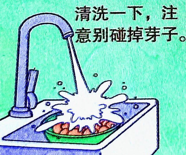 漫画|小衰的“整蛊把戏”小课堂,竟用土豆打造出“土豪”身份!