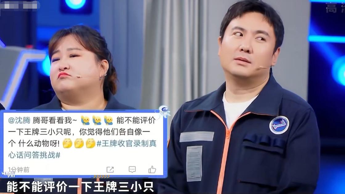 沈腾|《王牌7》收官之夜，沈腾形容华晨宇像蟾蜍，讨厌程度清晰可见