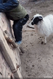 投影仪|女老师课后忘关投影仪，搜索记录被公开