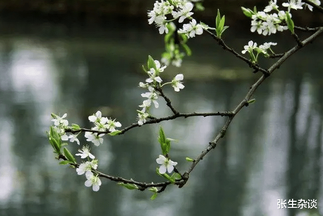 半导体|天气突然热了