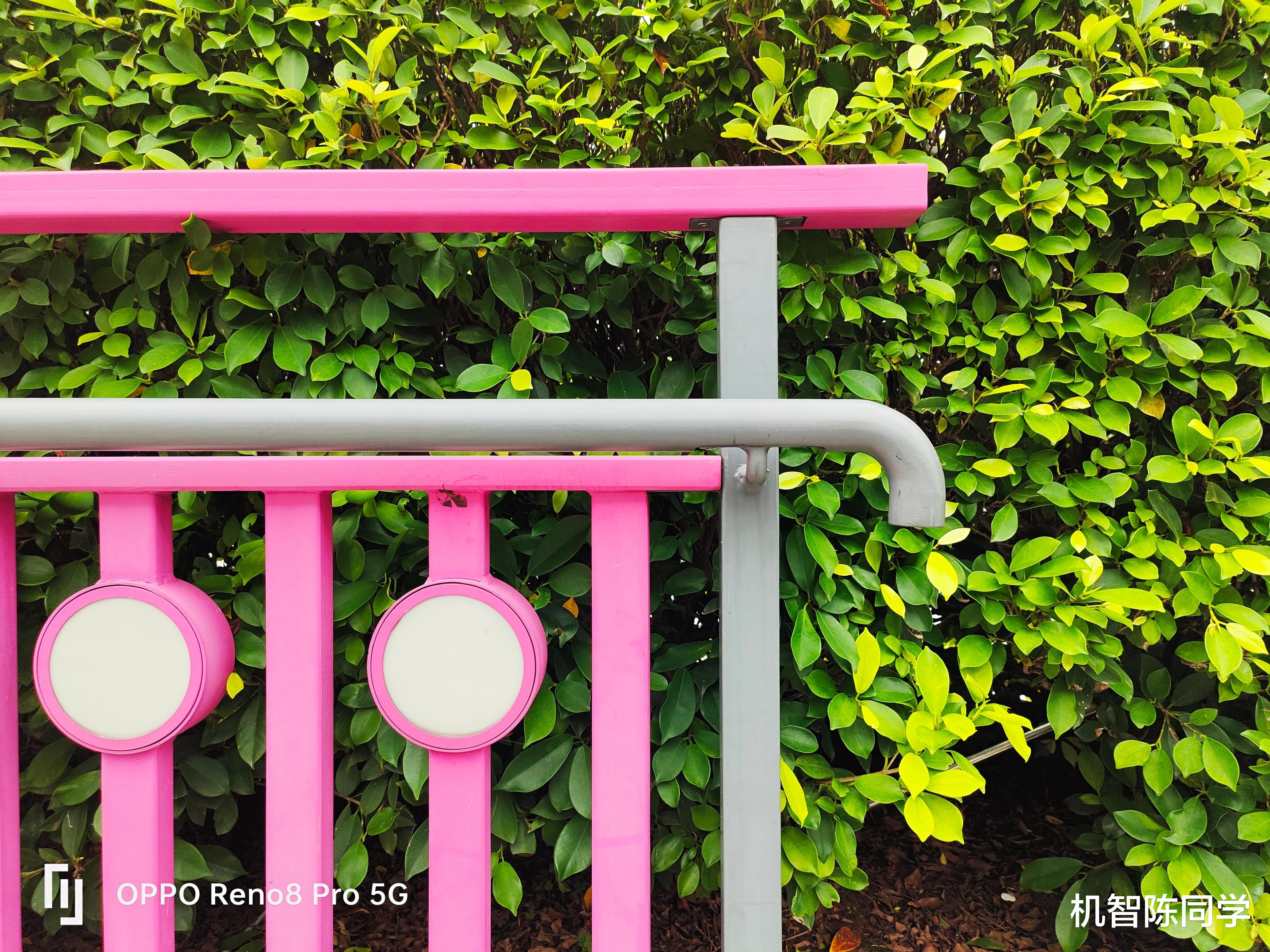 oppo reno|现阶段最适合颜控的手机？上手Reno8 Pro花仙紫：新配色太吸晴