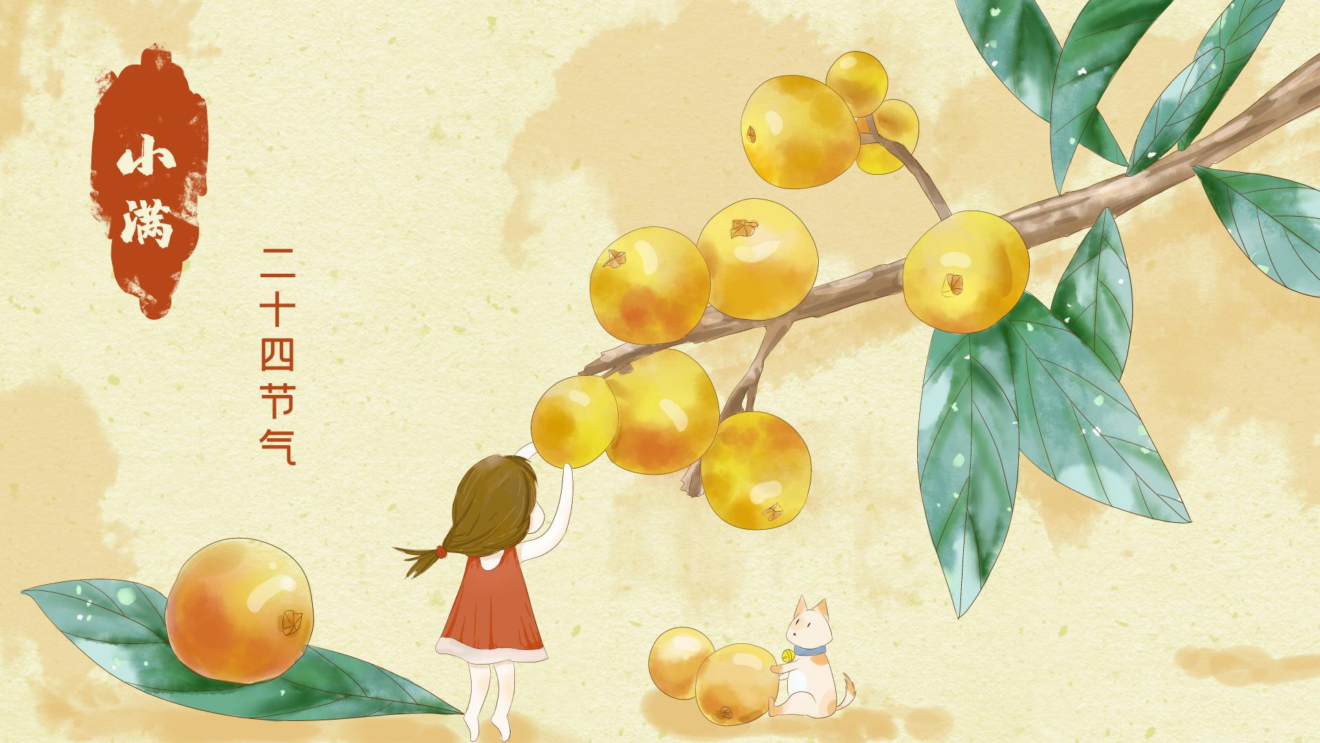 枇杷|枇杷到底是中国的还是日本的？吃了能止咳吗？