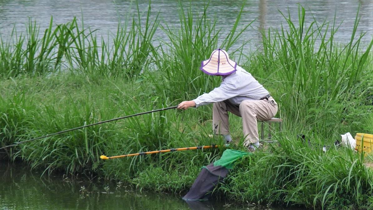 |初春钓鱼，究竟钓深还是钓浅？为什么“春钓浅滩”有的人钓不到鱼