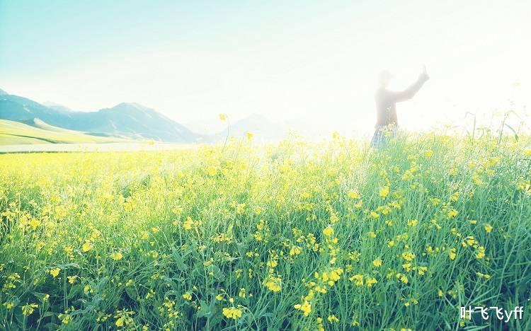 为什么背叛不值得原谅?以下两个原因,很现实