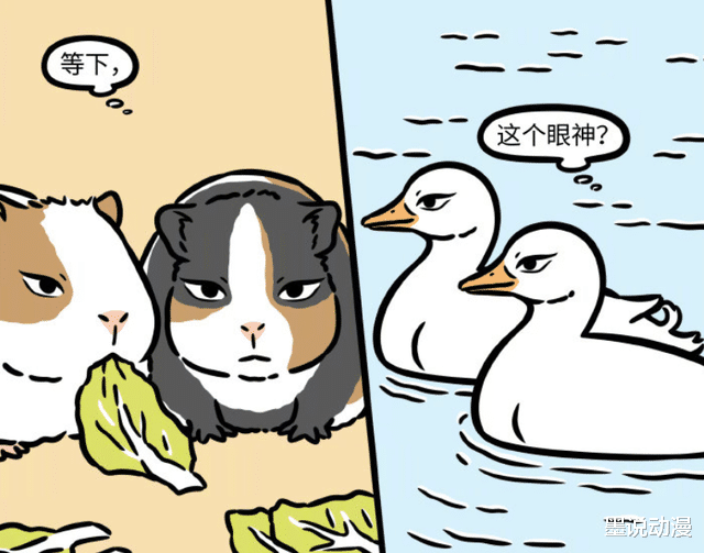 非人哉|非人哉：观音化身为多种动物，红孩儿察觉到，龙女差点没发现