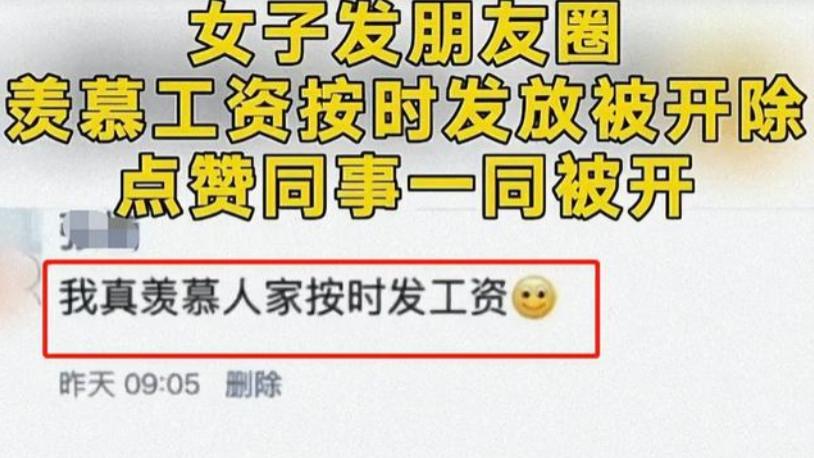 大学生|女生发“朋友圈”被领导开除，点赞同事一同被开，官方回应太解气