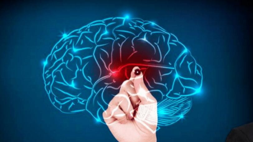 脑梗|脑梗“源头”已被发现，肥肉并未上榜，不想脑梗缠身，尽早戒掉