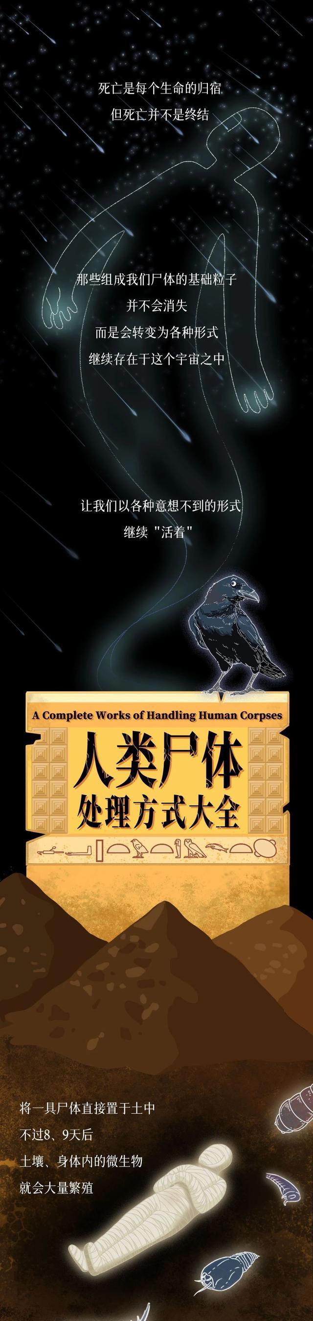 赤犬|人死后，该如何处理自己的尸体才最“牛”？一组漫画「科普」！