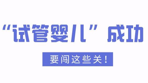 上海一妇婴李昆明医生：试管婴儿技术让不孕不育患者重拾“好孕”