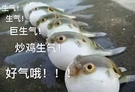 OLED|这样一台,出得了厅堂下得了厨房的本本,试问谁不爱呢