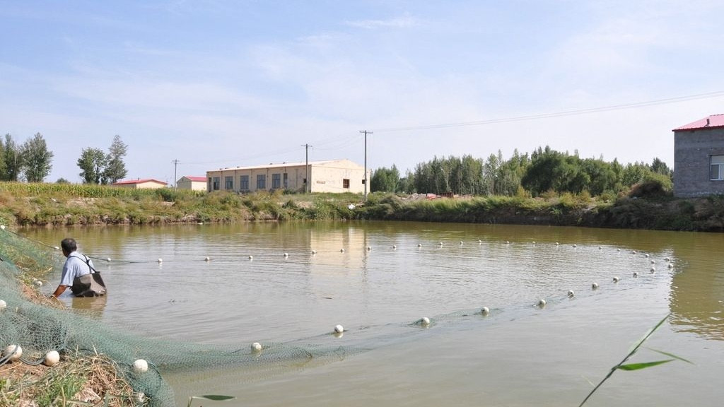 |他是不是钓鱼老手，看以下几种表现就知道