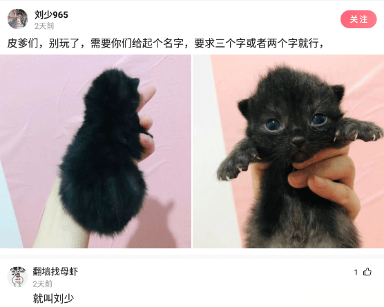 |神回复：假如我发明了0.1nm光刻机，把光刻机献给国家，我能专升本吗？