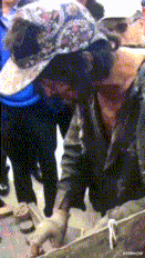 |“这是小蛇出了轨,还是青蛙劈了腿?”现实版的美杜莎女王吗?