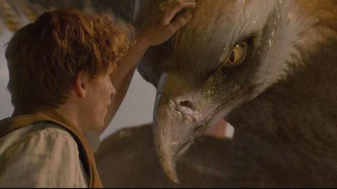 电影|把魔法故事拍出谍报电影氛围，依然保有奇幻乐趣＃神奇动物