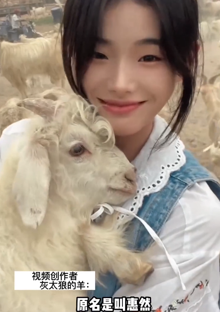 阿力木|灰太狼的羊:8分钟噶一只羊,清纯长相粗暴宰羊,被称荒漠屠夫!