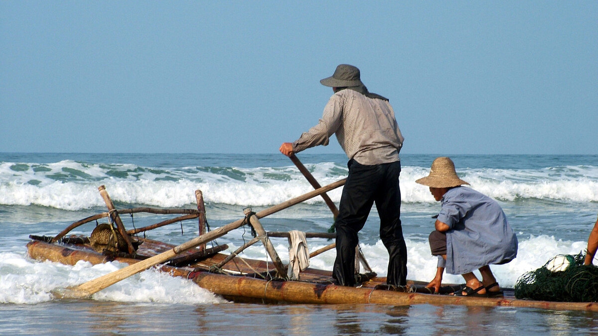 渔民|湛江渔民爆料，最赚钱的五个职业，有一个非常合适钓鱼人从事