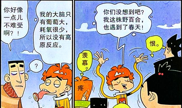漫画|衰衰自述快乐秘诀，“微缩大脑”是法宝，野百合也有春天！