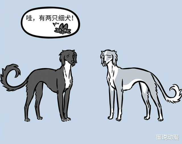 哮天|非人哉：黑色细犬登场，哮天再次吃醋，杨戬很喜欢它