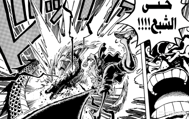 海贼王|海贼王1049话:十年前,罗说要拉四皇下马,十年后,凯多终于倒了