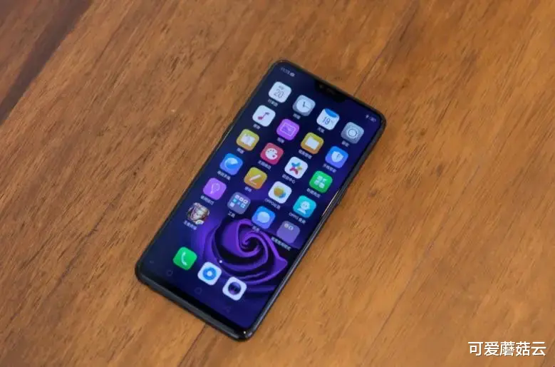 OPPO|OPPO五月份发布了20款手机，换个名字就说成新款手机，太多国人被耍