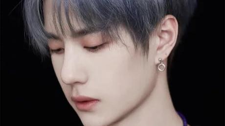 张新成|刘宪华，张新成，白敬亭，蔡徐坤，王一博！