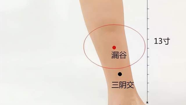 经络|经络穴位，一日一学——漏谷，小便不畅按漏谷