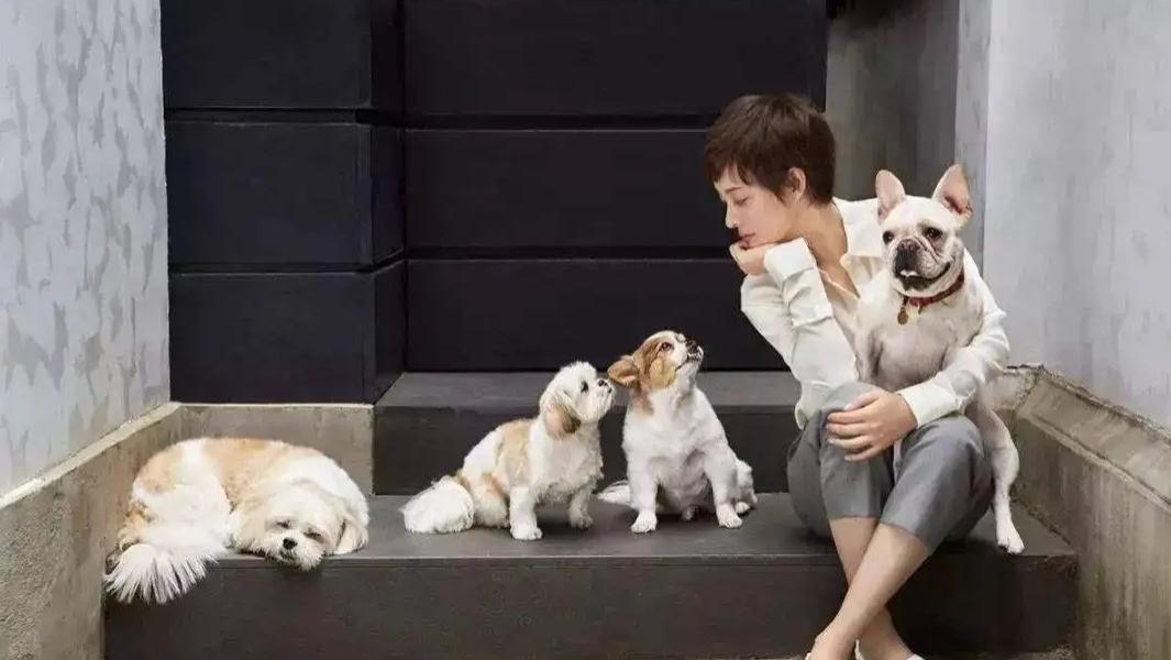 邓超|“隐形富豪”邓超：坐拥上海4套别墅，身价数亿与吴京合伙