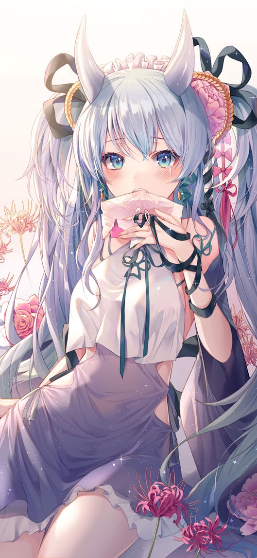 海贼王|动漫壁纸,今日也来分享