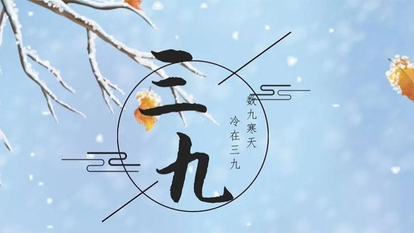 长寿|明日进“三九”，建议多吃“1肉2谷3蔬果”，温补有度，平安迎春