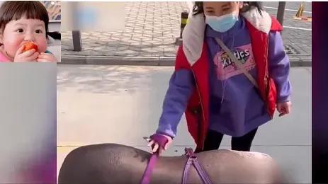 牧风芳华 女子在网上买了头小香猪，结果被喂成一头大肥猪