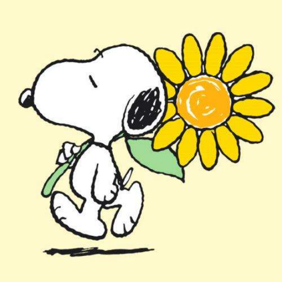小猎犬|如果没有史努比,大家可能不清楚《花生漫画》,小猎犬深入人心
