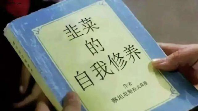 女孩|饭圈女孩现身说法，为什么追星可能是你离“吸毒”最近的一次？