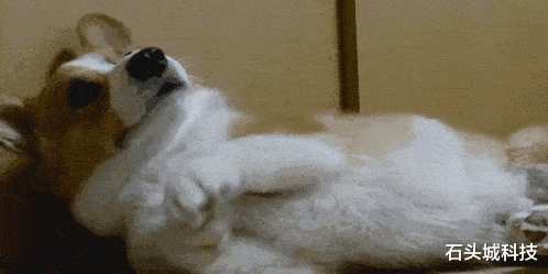 神舟|被忽略的一款千元机!超长待机2周,配置却出乎意料地高