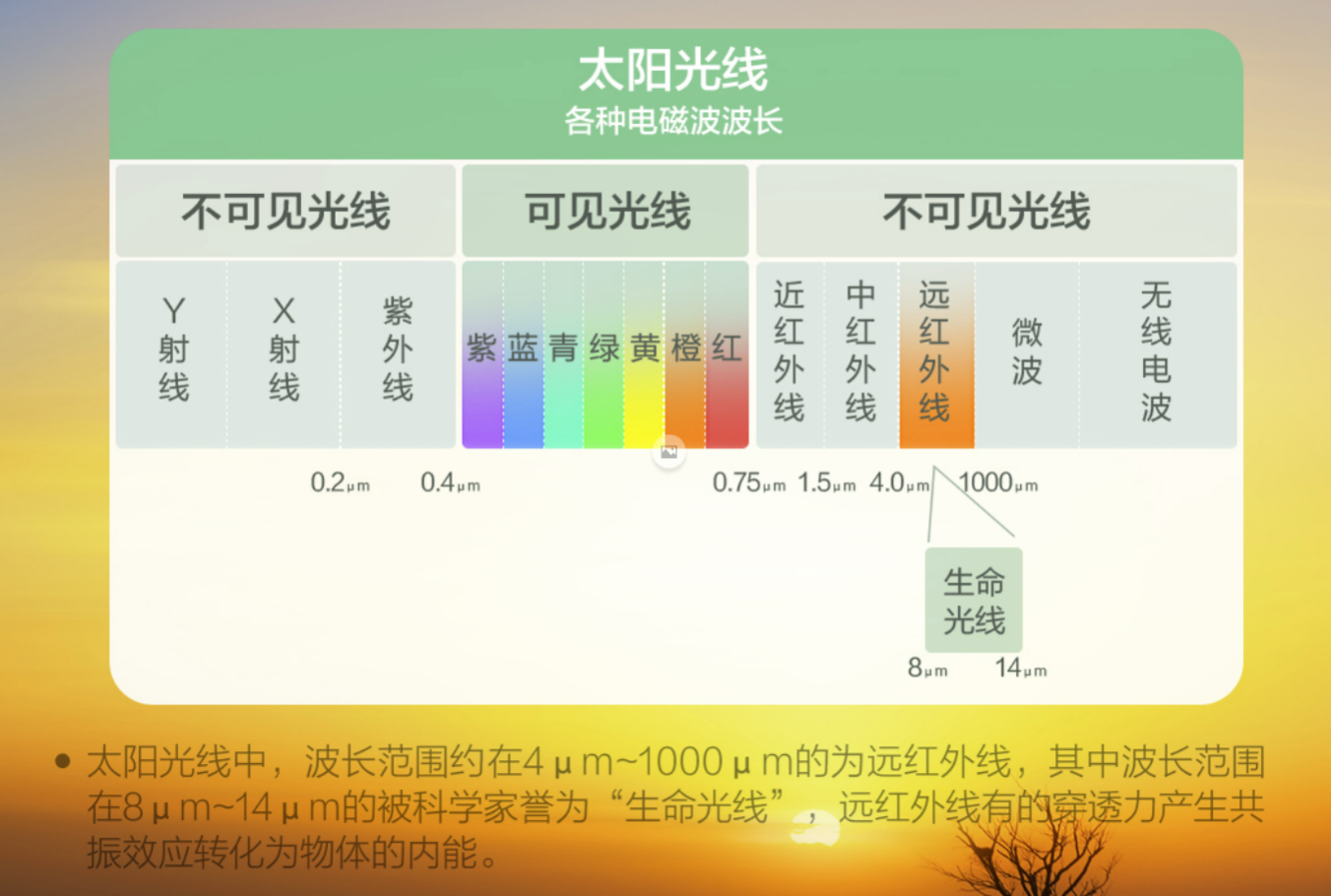 游戏手机|物有所值还是智商税?苏泊尔远红外电饭煲真实测评